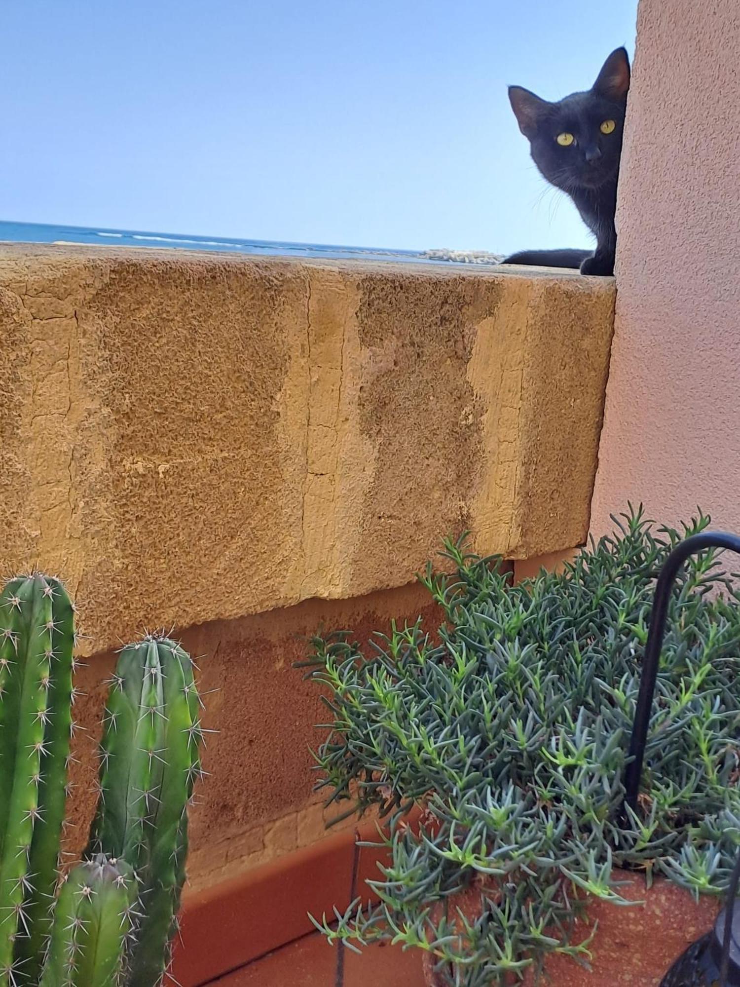 La Casa Sulla Spiaggia Marzamemi Ngoại thất bức ảnh